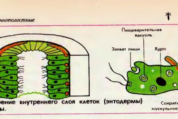 Кракен новый сайт