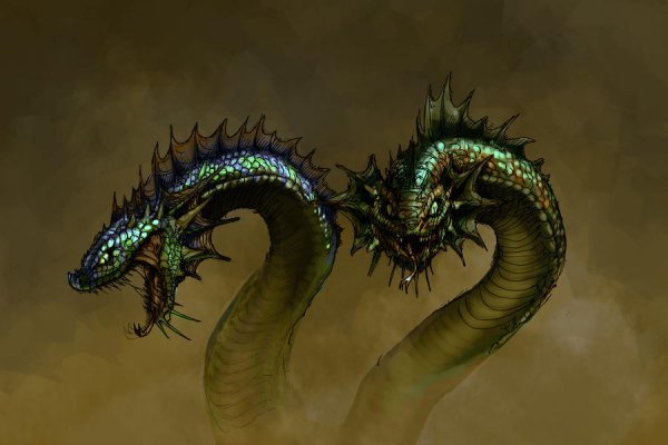 Kraken 18