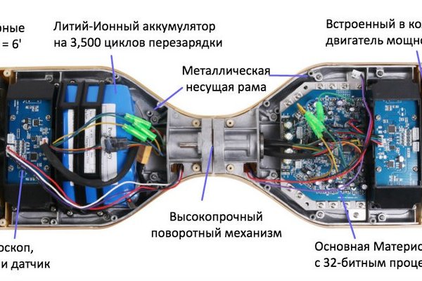 Гидра после