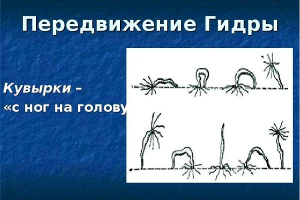 Кракен вход рабочий